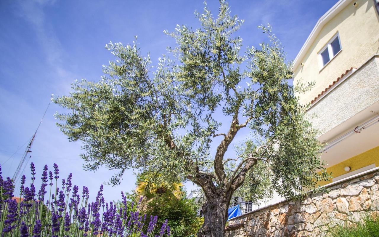 Apartments Balach بوريتش المظهر الخارجي الصورة